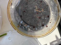 -九斤黄三黄鸡专卖店