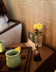 -VELEE·SPA高定疗愈会所