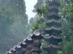 -玉苍山国家森林公园