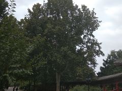 -钓鱼台国宾馆