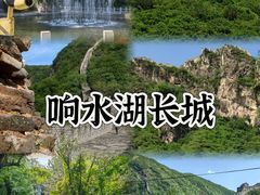-向外鱼乐·土菜·虹鳟鱼
