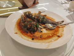 -陶缘一号·四季缘·老字号顺德菜·户外婚礼家宴(西滘店)