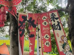 -光明小镇欢乐田园