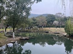 -宁波九龙湖开元度假村