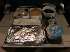 -新加坡航空公司(ION)