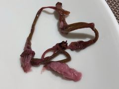 绛初匀·樱花茶-鸡鸣赐茶(鸡鸣寺路店)