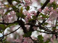 -昆山城市生态森林公园