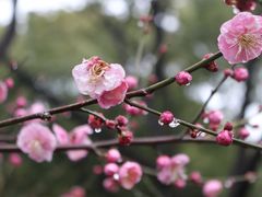 -盘门景区