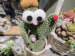 -Olé精品超市(上海虹桥南丰城店)