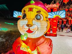 -沈阳奥体冰雪嘉年华