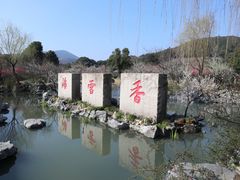 -香雪海