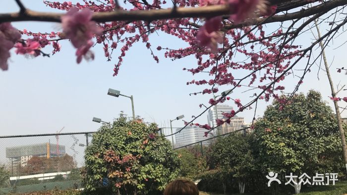 杭州城北体育公园图片