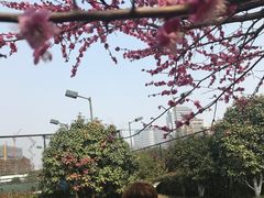 -杭州城北体育公园