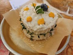 -野草莓自由市场