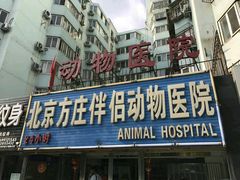 -宠颐生中康贝怡动物医院