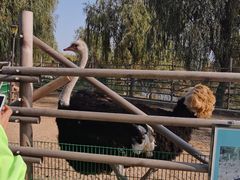 -羊亭河湿地公园