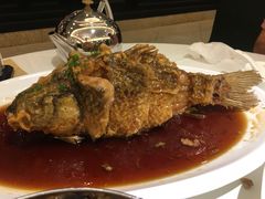 -金春禧(世茂国际广场店)