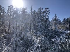 -瓦屋山景区