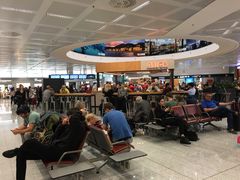 -米兰马尔彭萨国际机场