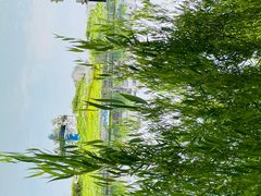 -金山嘴渔村