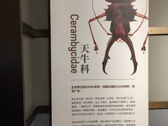 -成都百丽宫影城(LUXE太古里店)