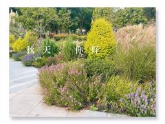 -上海山野camping·户外天幕烧烤·团建拓展营地