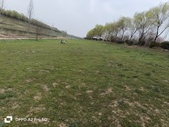 -洨河生态公园