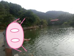 -广州市帽峰山景区