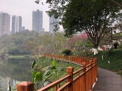 -重庆彩云湖湿地公园