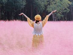 -昆山城市生态森林公园