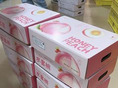 -老袁家蜜桃农场·阳山水蜜桃