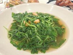 -翠园(北京王府中环店)