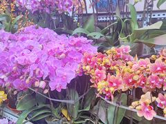 -三旗百汇商品城