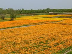 -江苏三台山国家森林公园