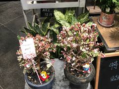-豆豆花艺(新光天地店)