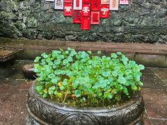 -宁波市保国寺古建筑博物馆