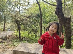 -北京十三陵国家森林公园蟒山景区