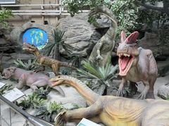 -国家自然博物馆