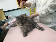 -嘉馨宠物医院·CT影像转诊·心脏科·犬猫全科诊疗中心(下沙大学城院区)