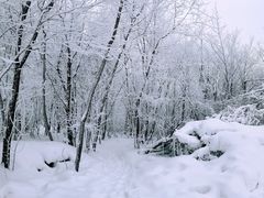 -中旅松花湖滑雪场