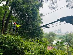 -芦仙山景区-飞越丛林探险乐园