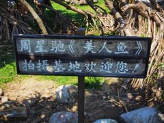 -杨梅坑