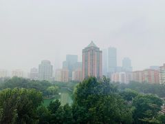 -羊大爷涮肉(亮马桥店)