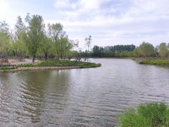 -东郊湿地公园
