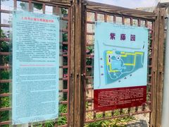 -嘉定紫藤园