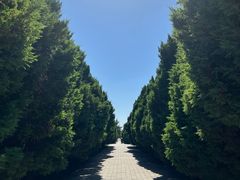 -秦始皇帝陵博物院-丽山园