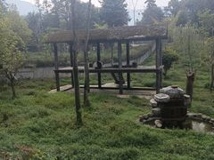 -中国大熊猫保护研究中心雅安碧峰峡基地