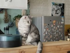 -平行世界·猫咖(首经贸店)