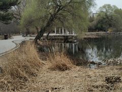 -北陵公园