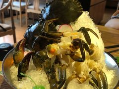 -尚海豆捞(乐虹坊店)